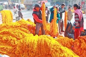 यस वर्षको तिहारमा भारतबाट फूल नल्याइने, स्वदेशी फूलले बजार पाउने